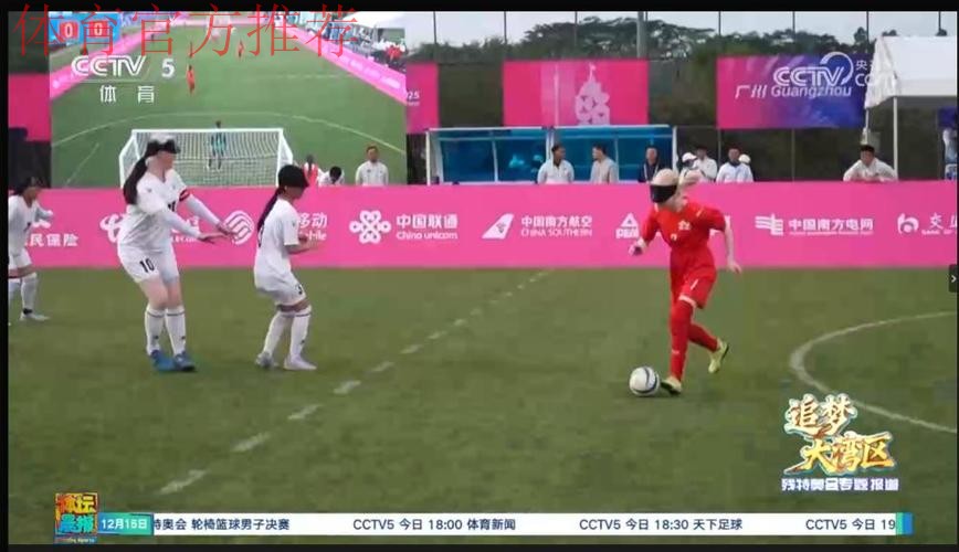 五战全胜 云南队斩获盲人足球女子组冠军 五战全胜 云南队斩获盲人足球女子组冠军