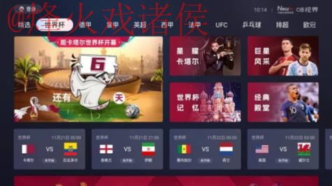 免费在线观看：世界杯直播入口全站攻略